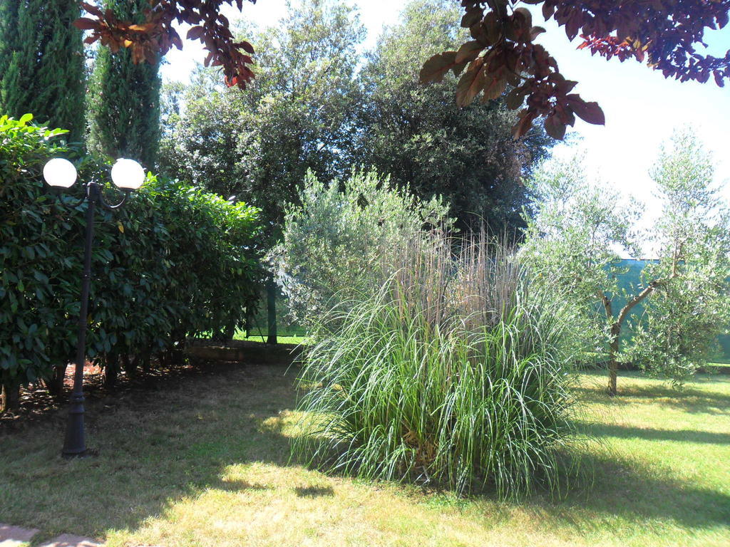 Aparthotel Casale Santa Caterina Amelia Zewnętrze zdjęcie