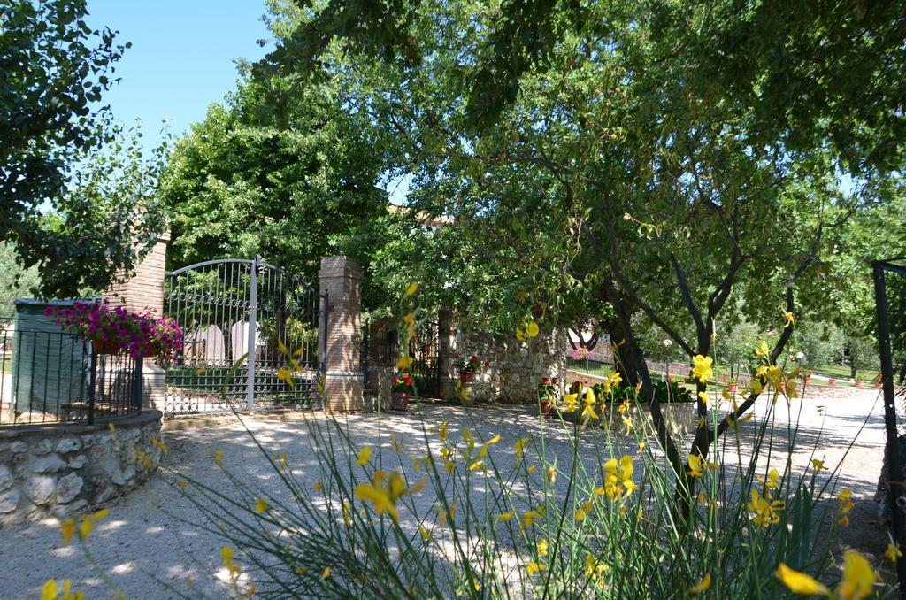 Aparthotel Casale Santa Caterina Amelia Zewnętrze zdjęcie
